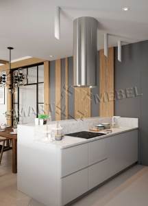 Kitchens individual project K53